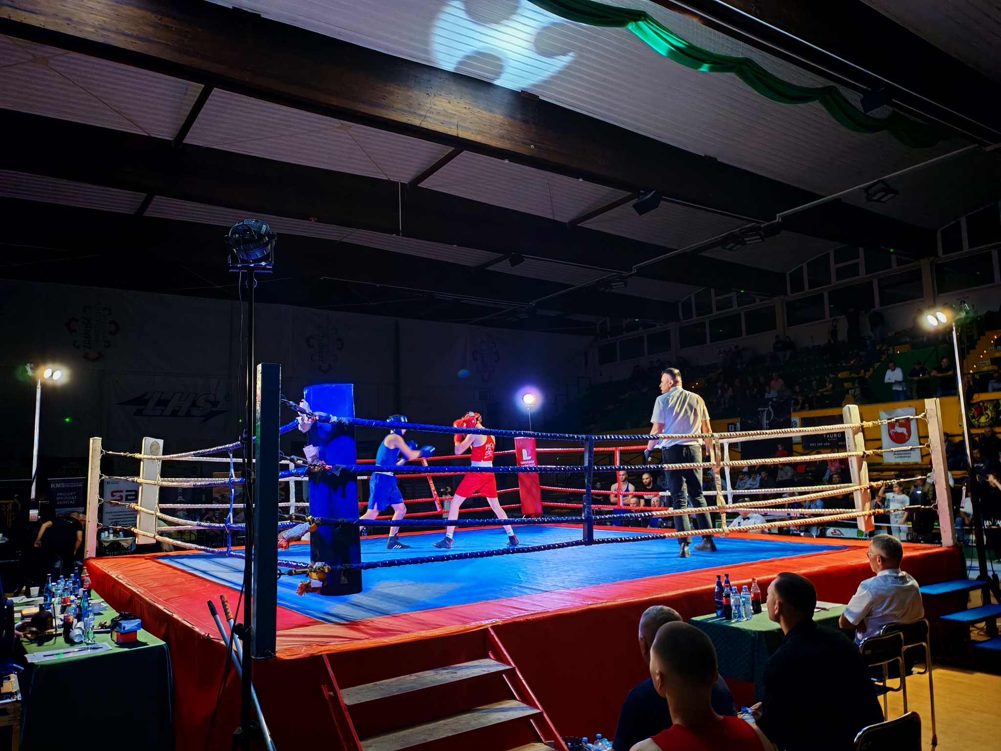 Боксерські рукавиці